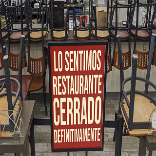 Cucarachas de bares