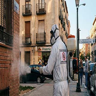 Fumigar cucarachas Madrid precio