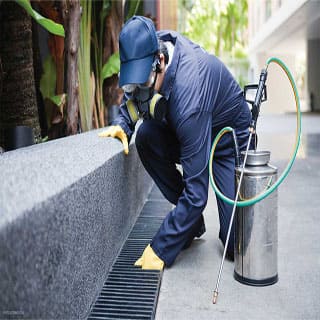 fumigar cucarachas en Madrid